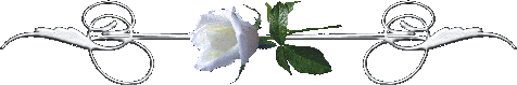 séparation rose blanche